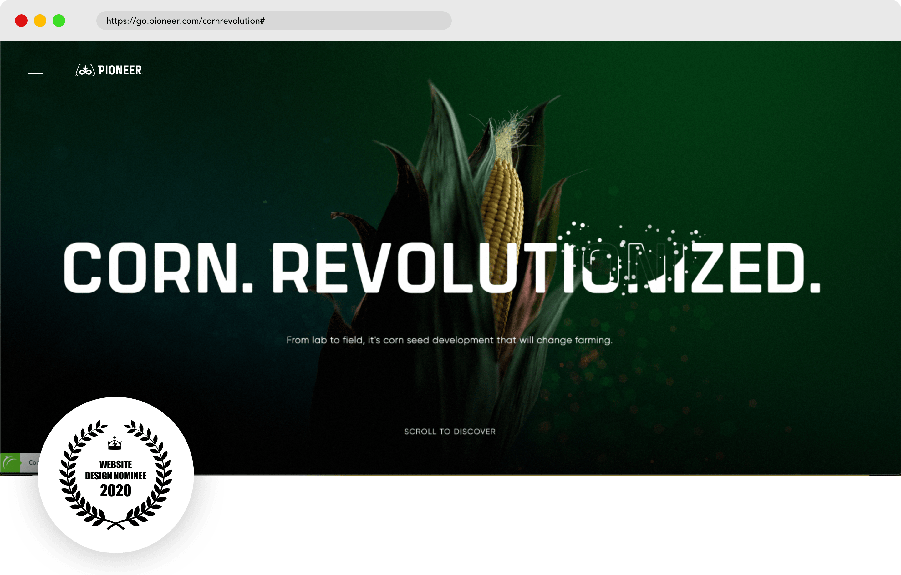 Best Website Pioneer – Corn. Revolutionized.