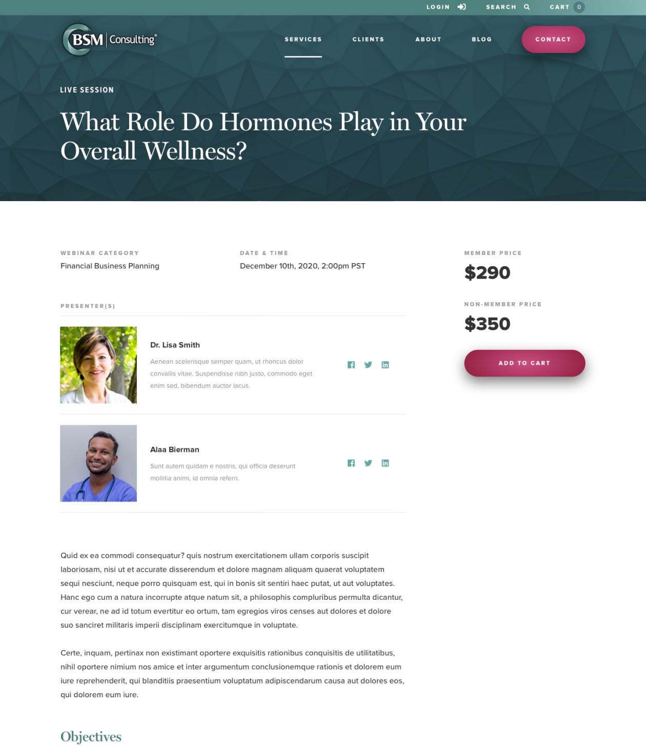 bsmconsulting-webdesign-casestudy-5