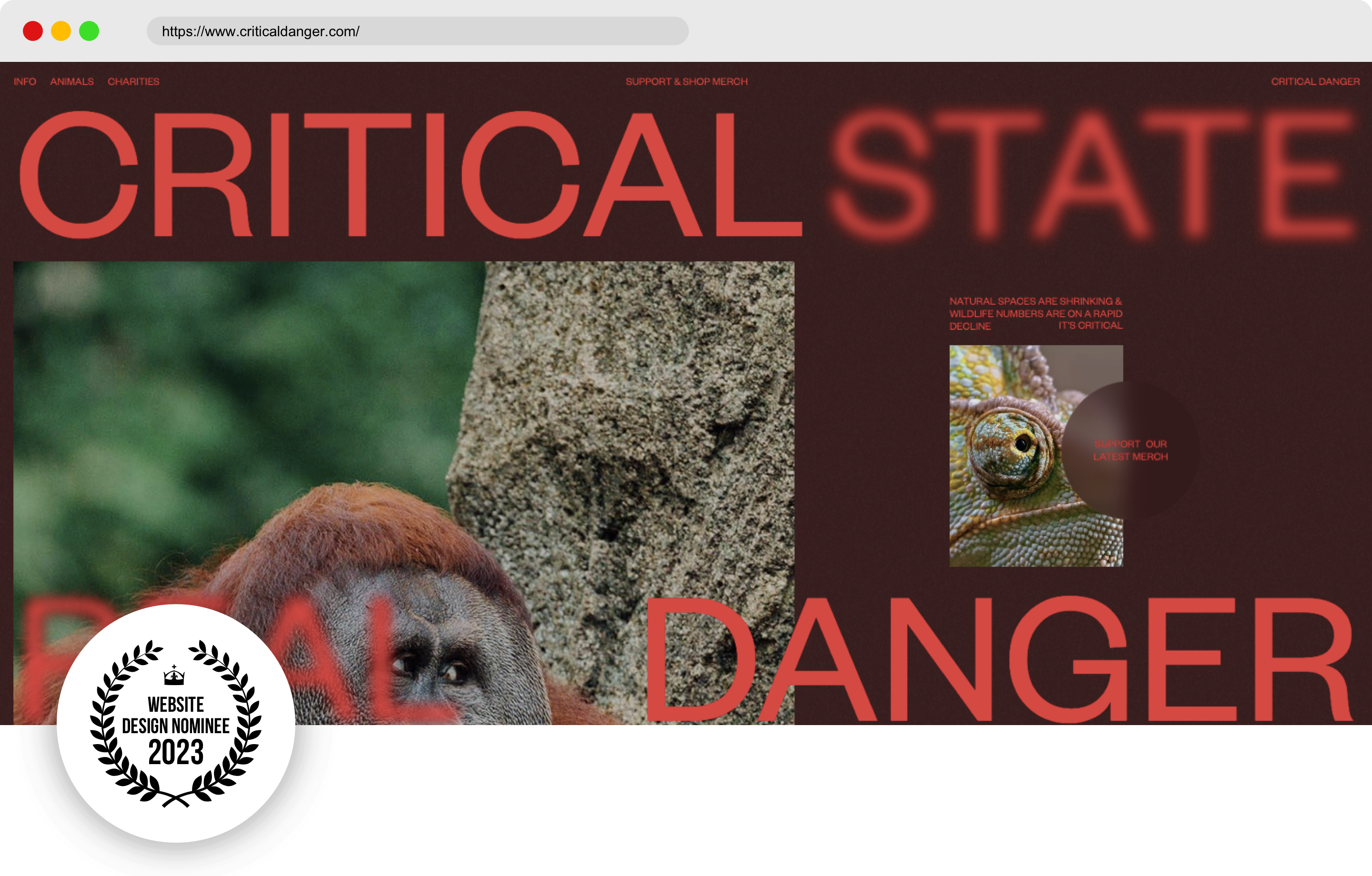 Best Website Critical Danger