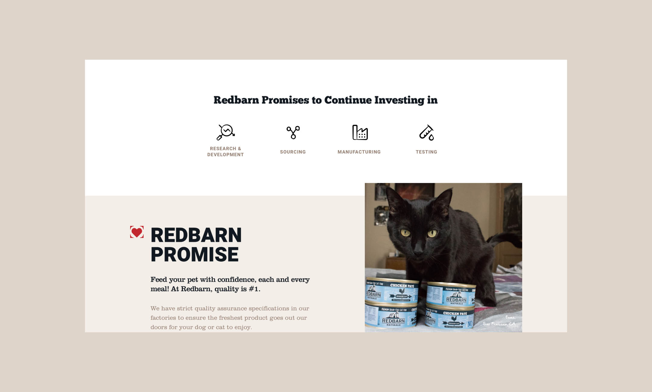 Creating the purr-fect new website for a popular pet product brand Build Image-0