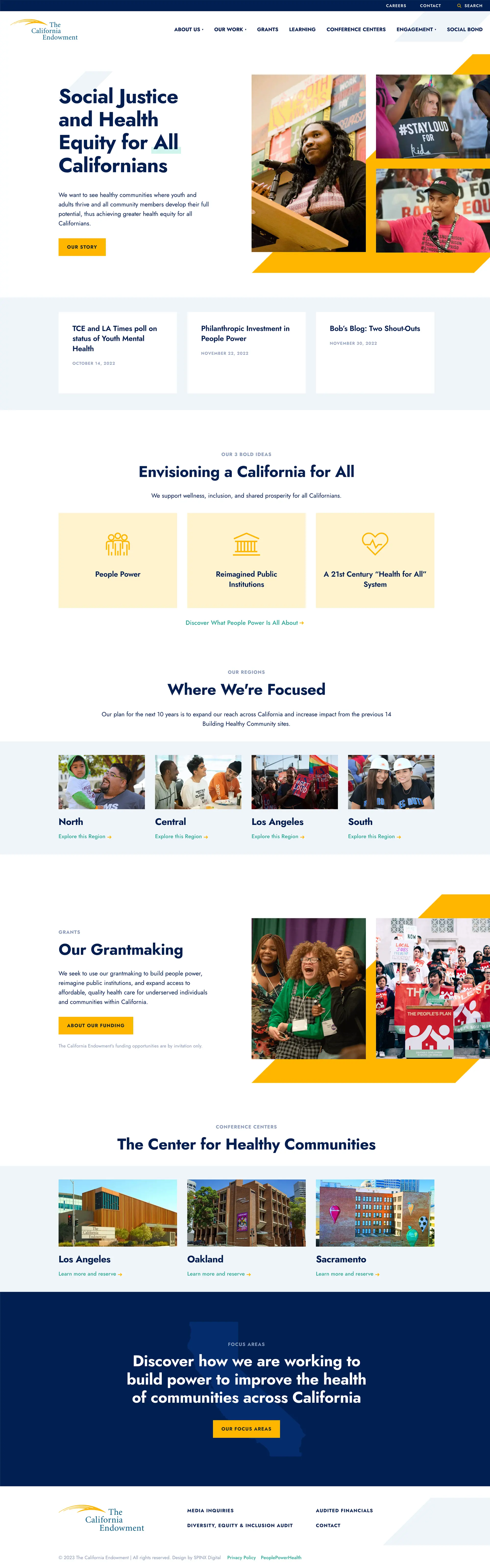 The California Endowment Website Design Case Study