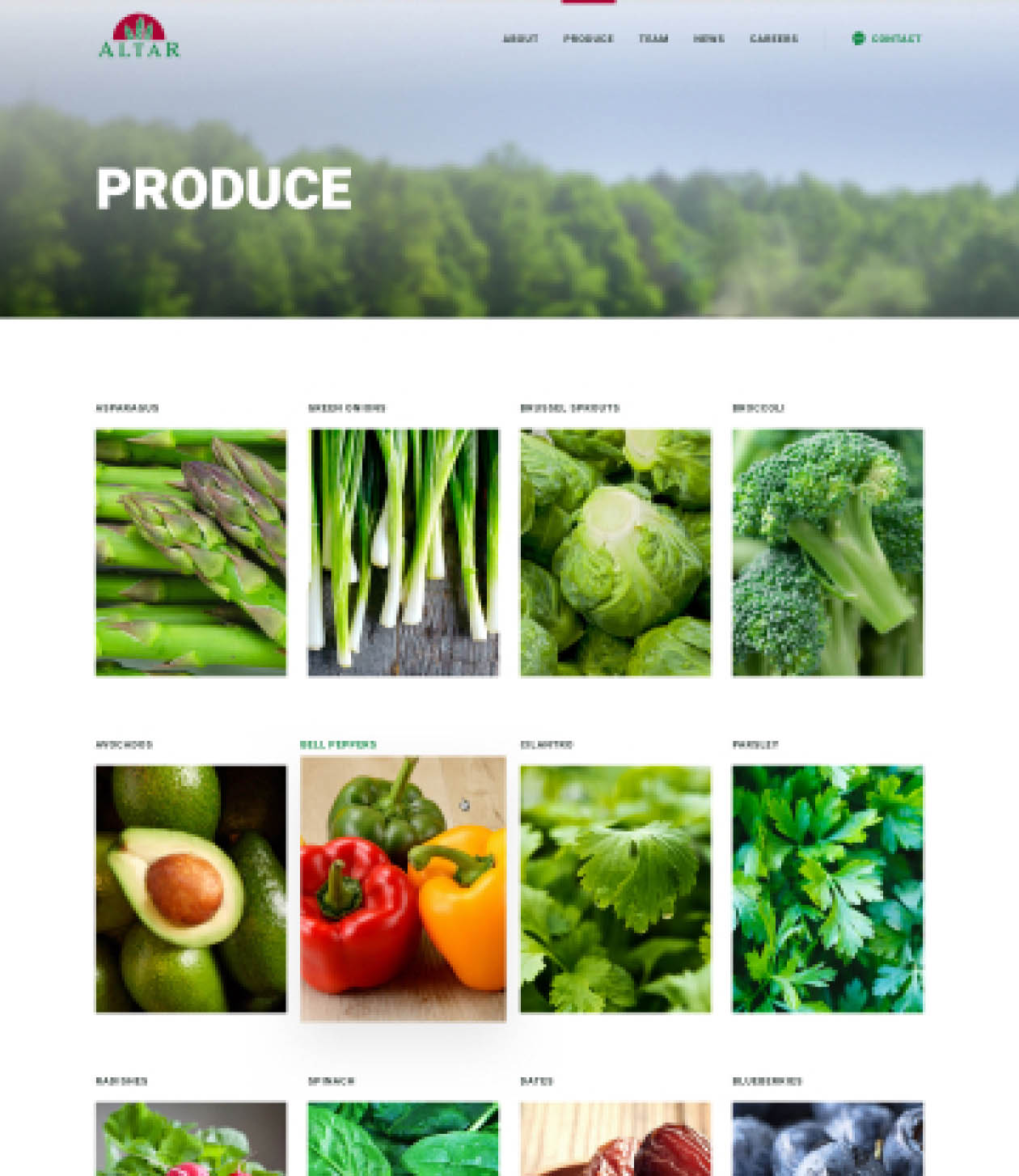 altar-produce-webdesign-casestudy-7