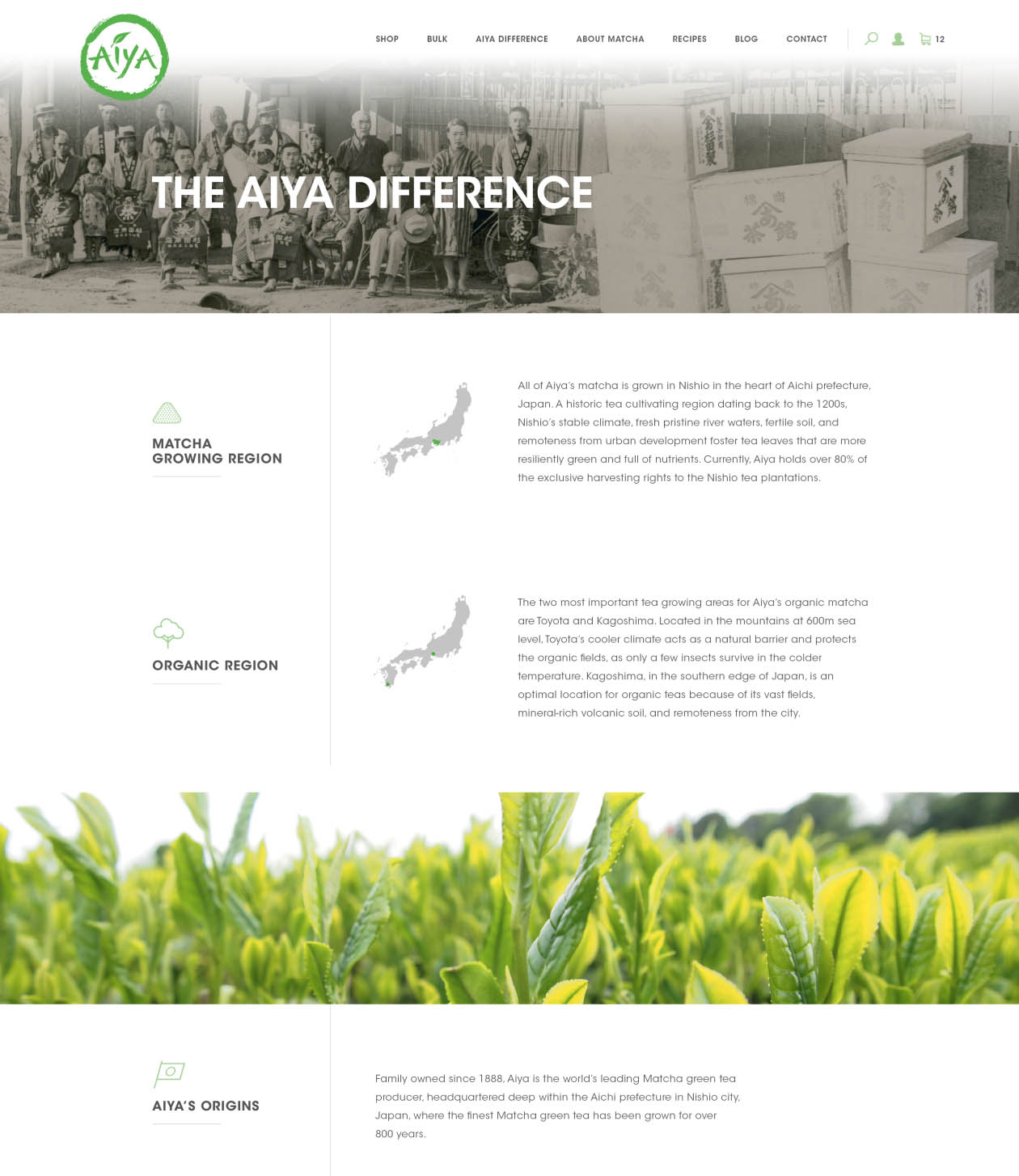 aiya-webdesign-casestudy-7