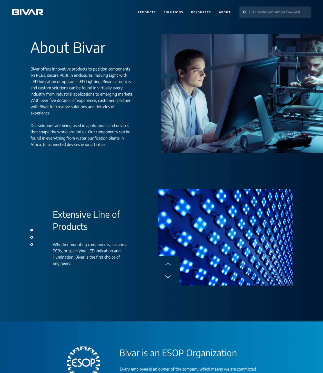 bivar-webdesign-casestudy-7