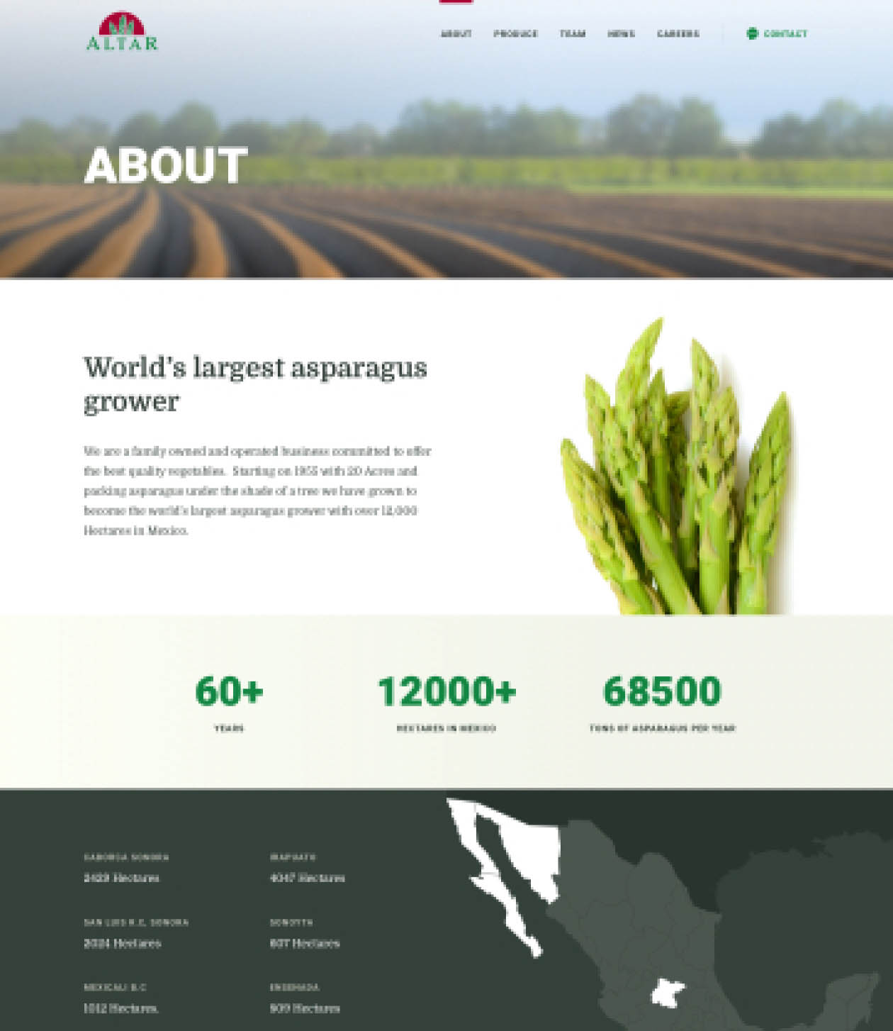 altar-produce-webdesign-casestudy-4