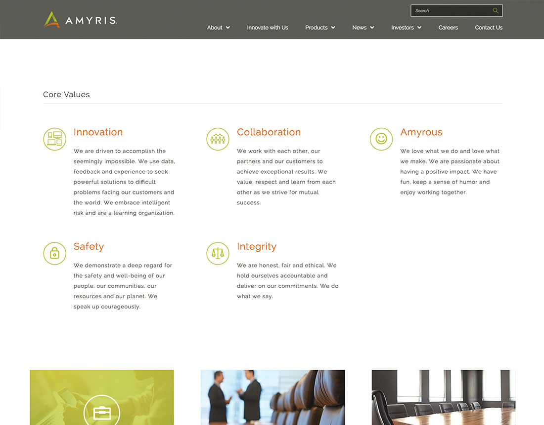 amyris-webdesign-casestudy-2