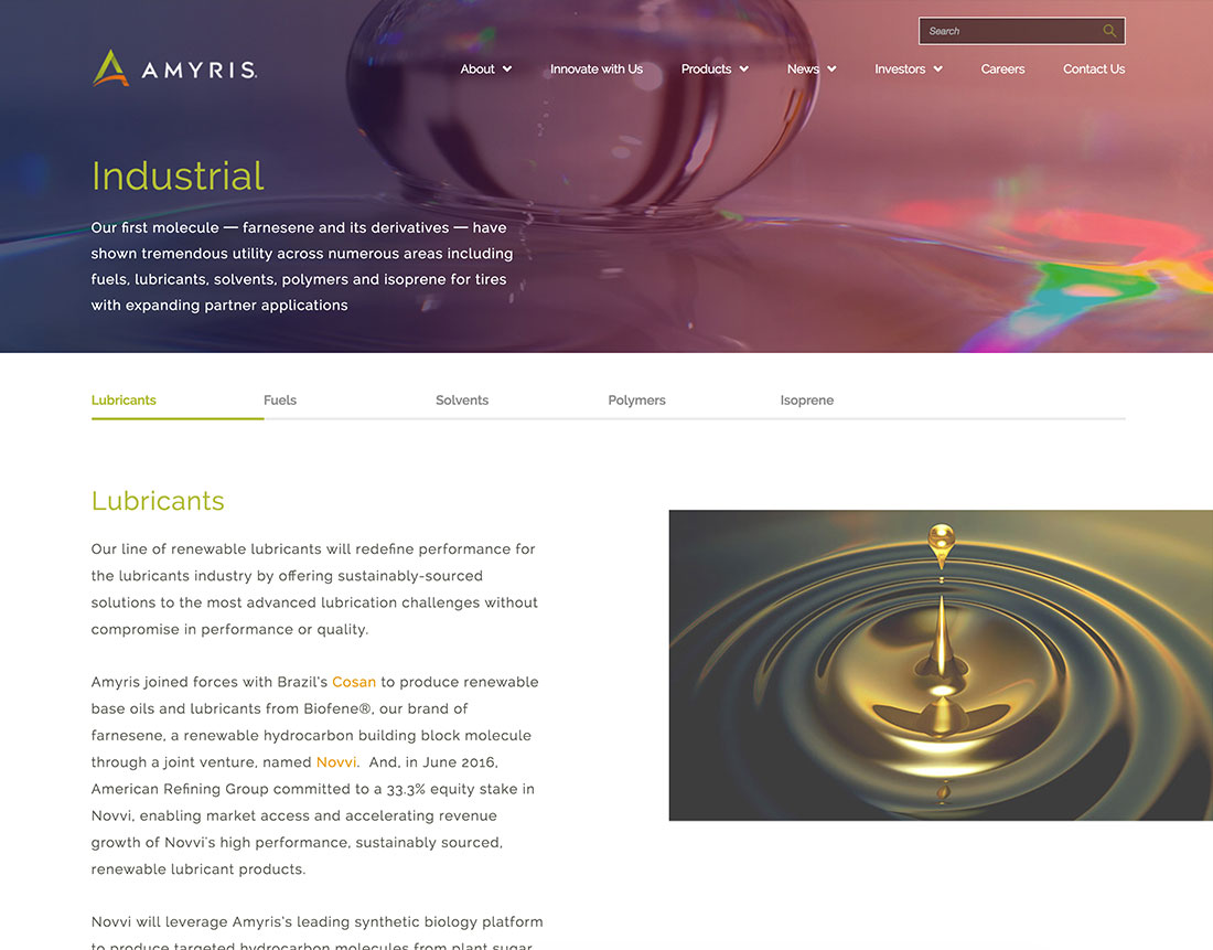 amyris-webdesign-casestudy-6