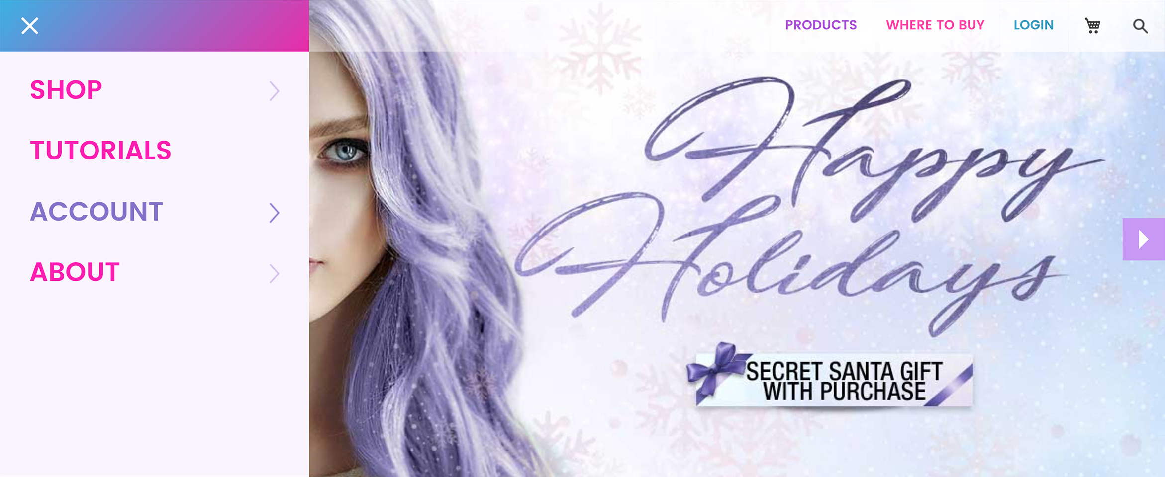 Bright Ecommerce Redesign for a Fantasy Hair Color Company Build Image-1
