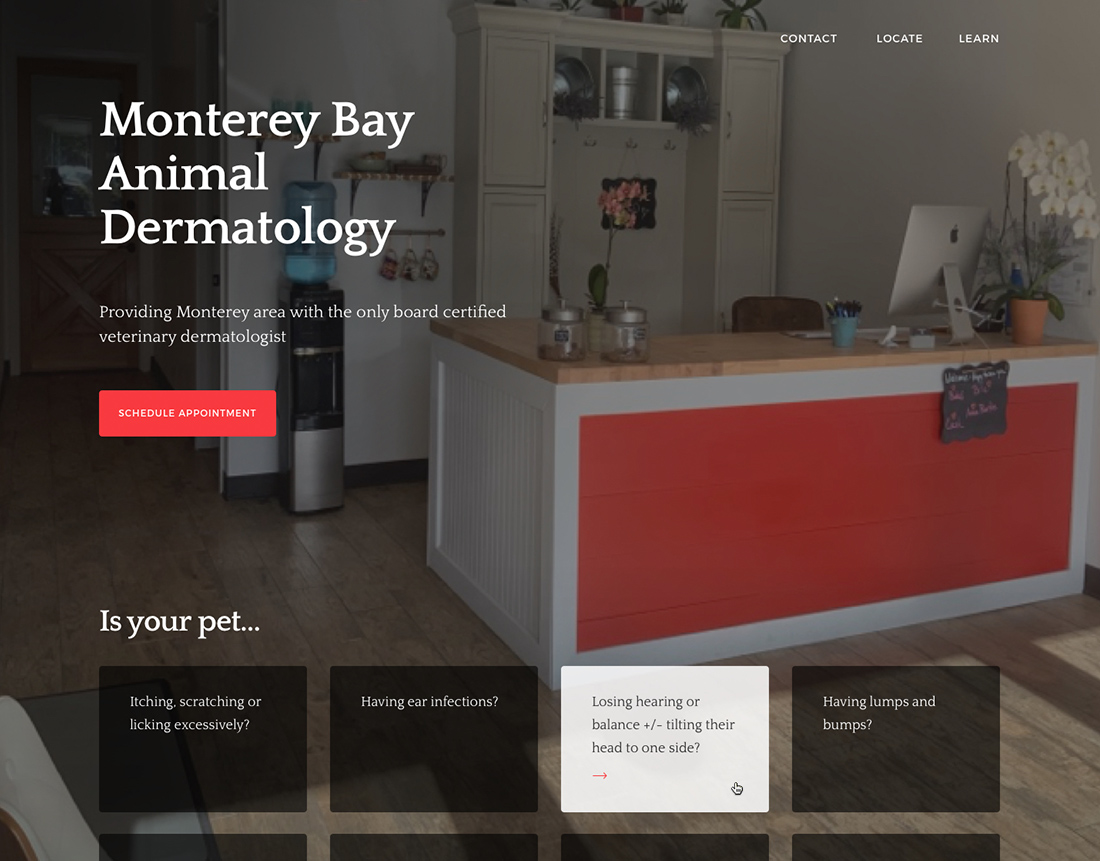 Monterey Bay Animal Dermatology Website Design Case Study