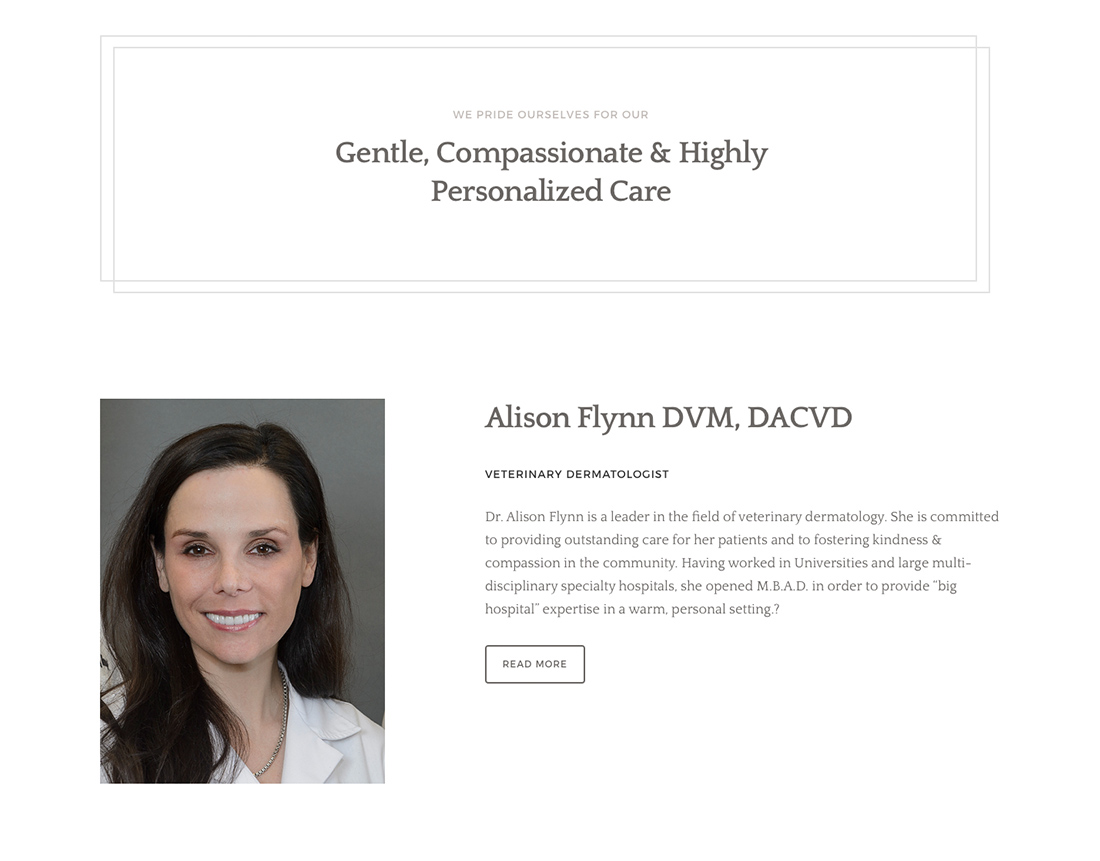 monterey-bay-animal-dermatology-webdesign-casestudy-0