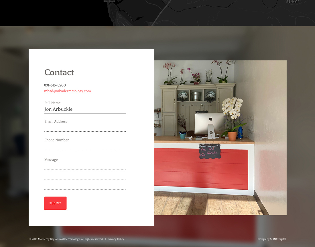 monterey-bay-animal-dermatology-webdesign-casestudy-1
