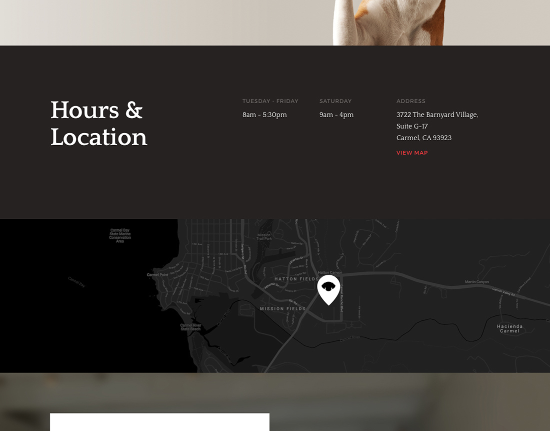 monterey-bay-animal-dermatology-webdesign-casestudy-2