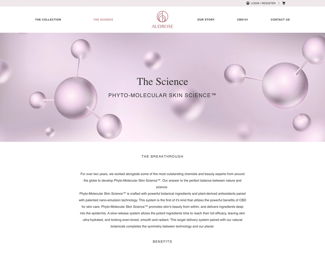 audrose-webdesign-casestudy-8