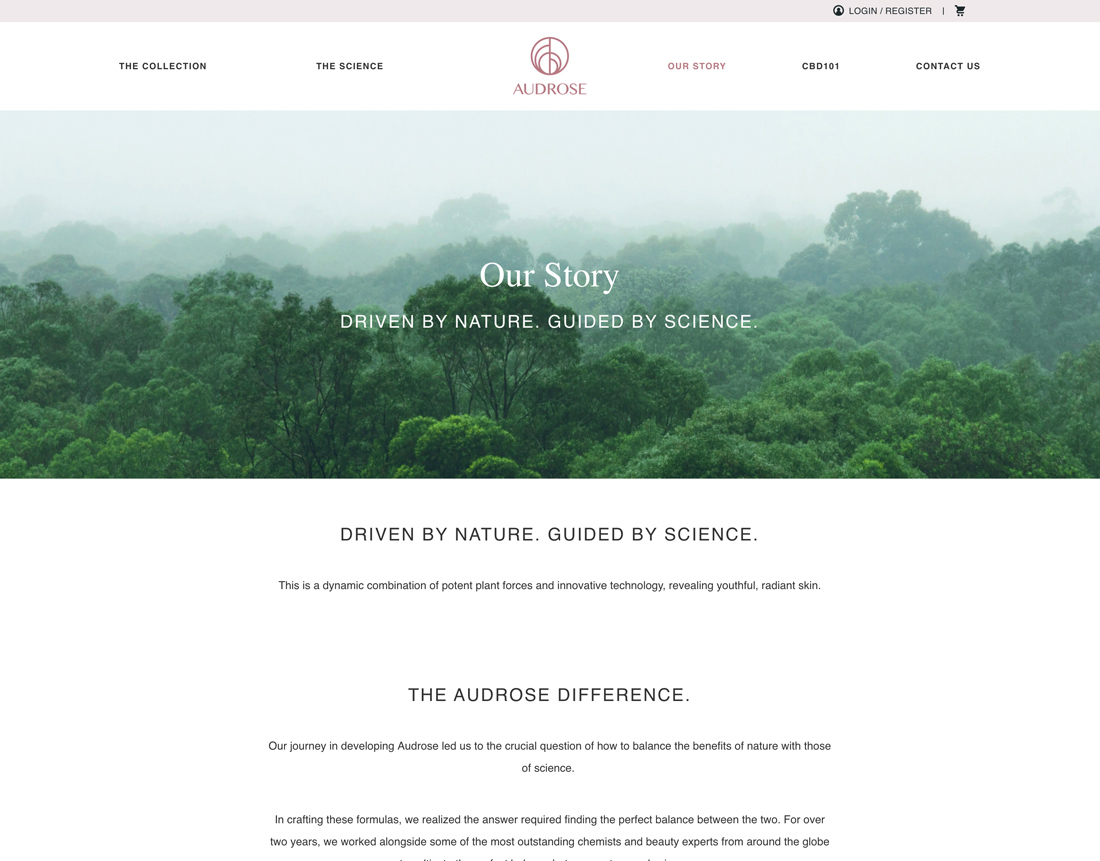 audrose-webdesign-casestudy-7