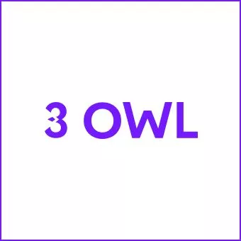 3 Owl