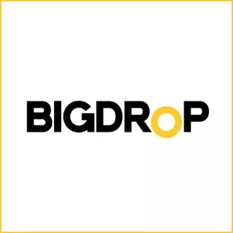 BigDrop INC - Website Design Company