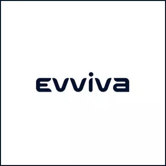 Evviva Brands - Website Design Company