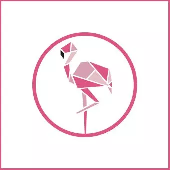 Flamingo Agency - Website Design Company