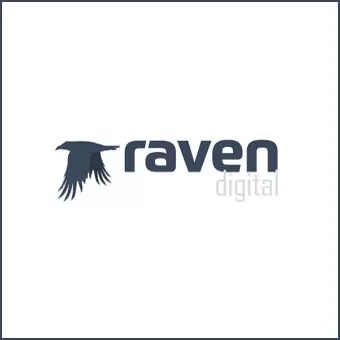 Raven Digital - Website Design Company